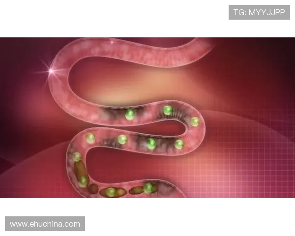 凯发旗舰厅客户端常用操作指南让新手玩家轻松上手游戏体验更顺畅